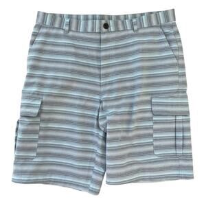 Boca Islandwear Gray and Mint Green Striped Shorts - Size 36